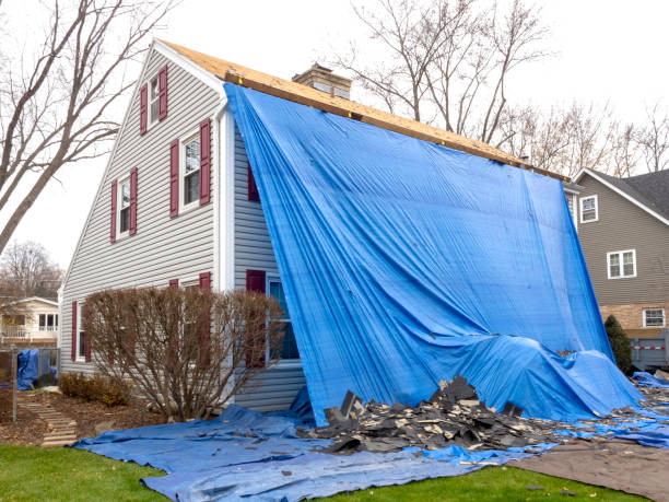 Best Storm Damage Siding Repair  in Stanley, ND